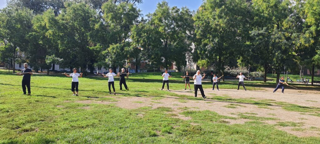Stage di Bastone Tai Chi