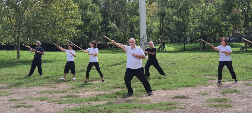Stage di Bastone Tai Chi