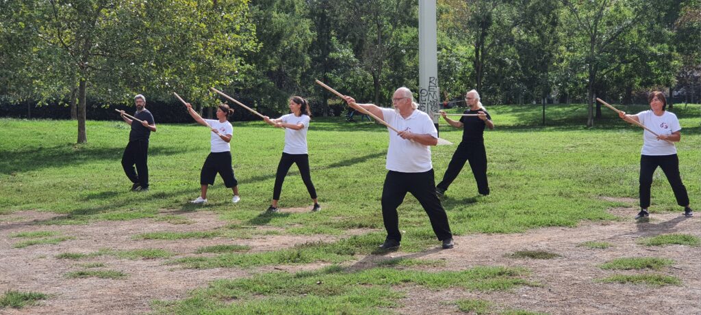 Stage di Bastone Tai Chi