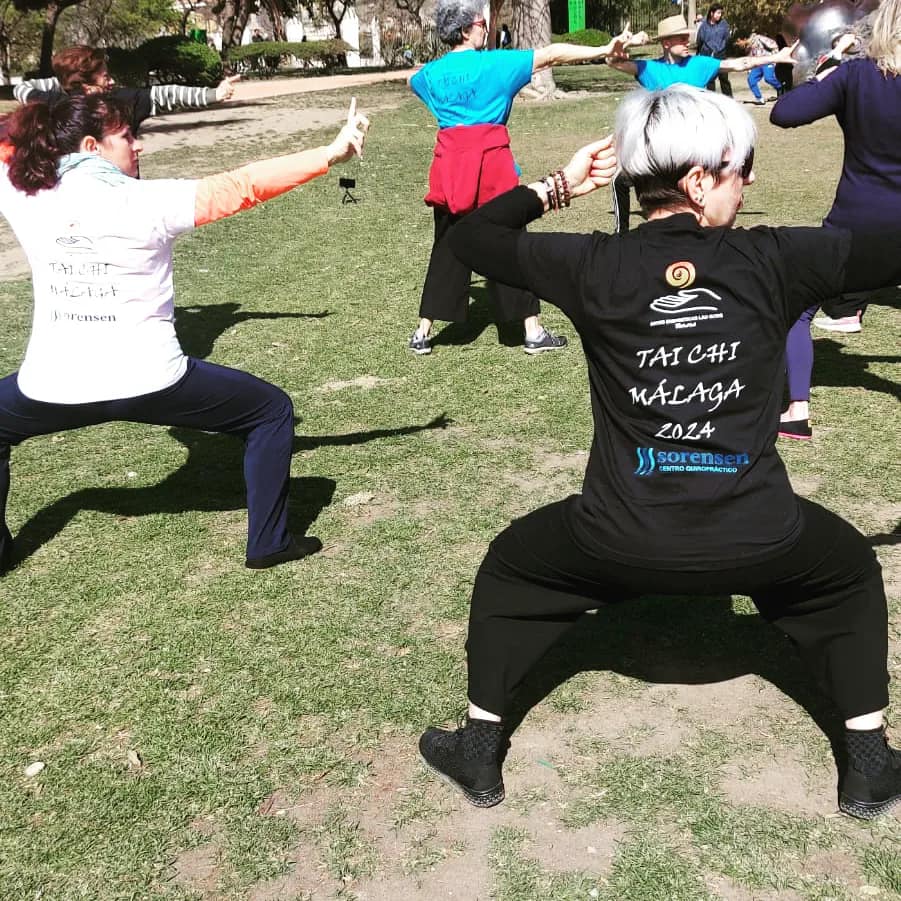 Tai Chi Malaga 2024