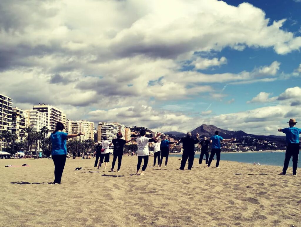 Tai Chi Malaga 2024