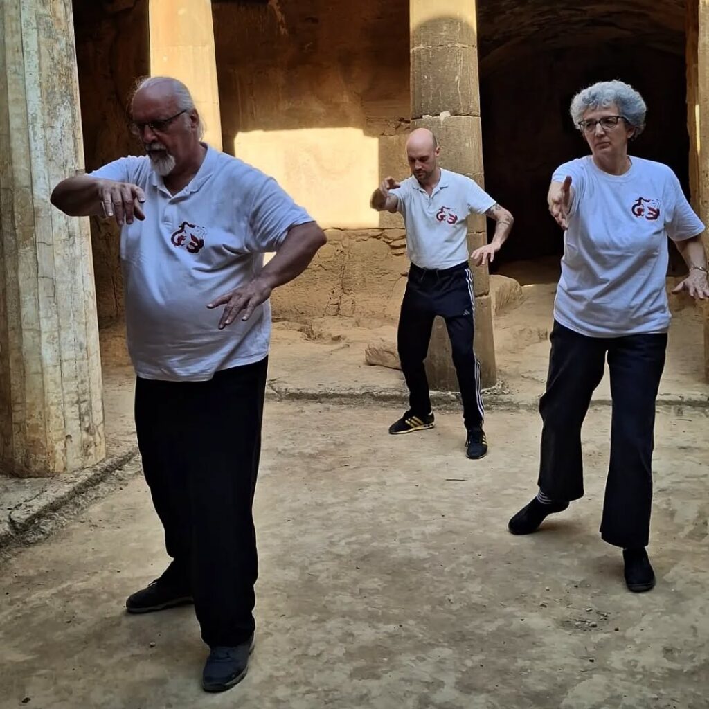 Stage Tai Chi a Cipro