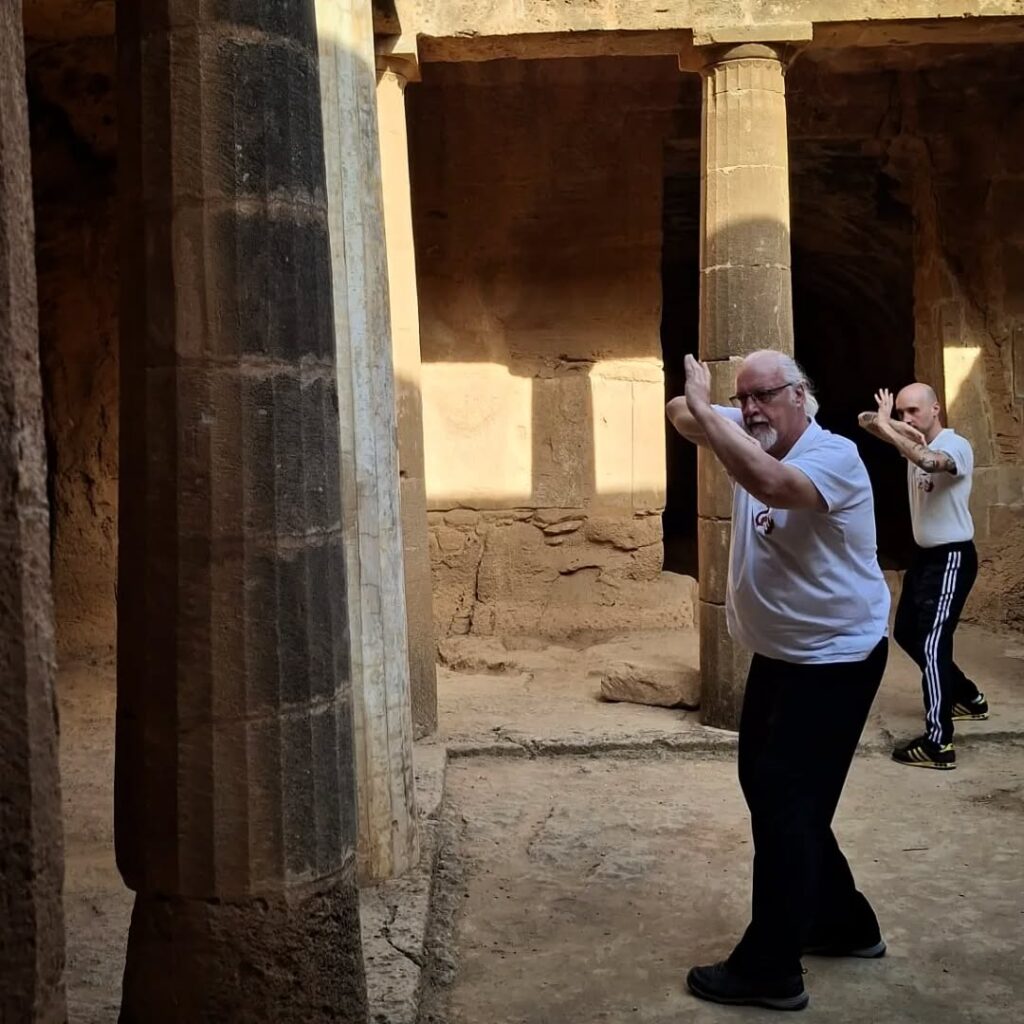 Stage Tai Chi a Cipro