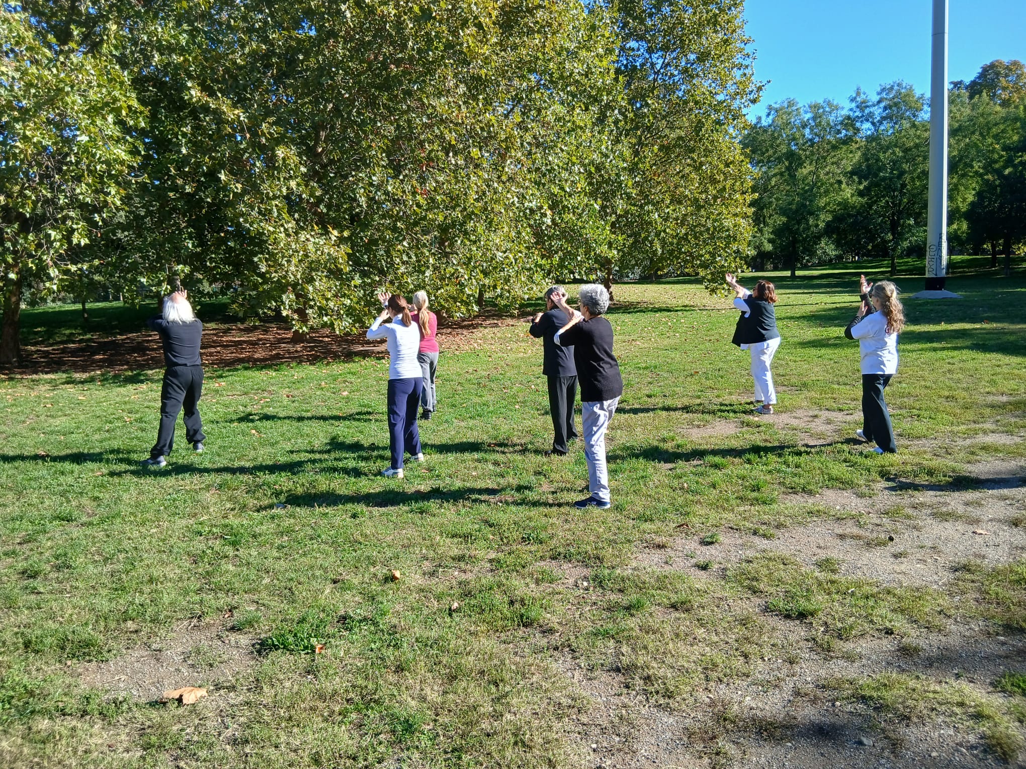 Tai Chi Parco Milano
