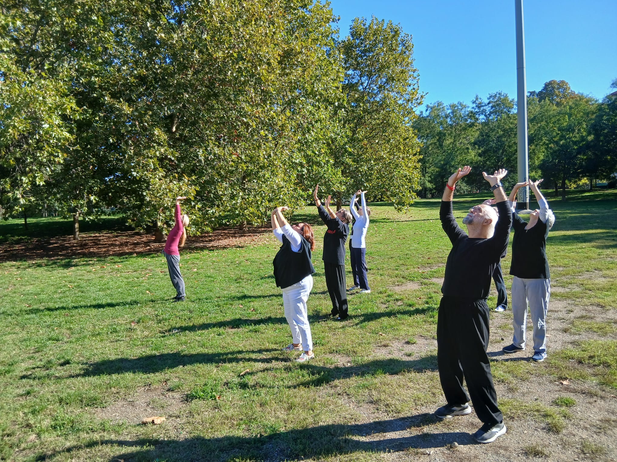 Qi Gong al Parco